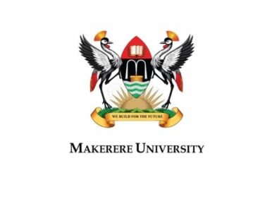 Online workshops
