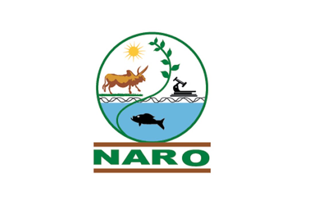 NARO